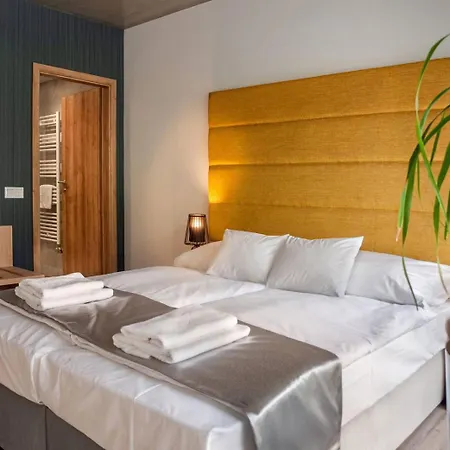 R31 公寓式酒店 Sárvár